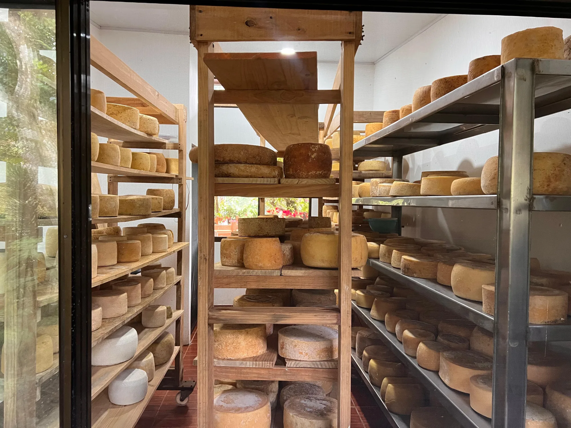 Aging Room Quesos Canaan