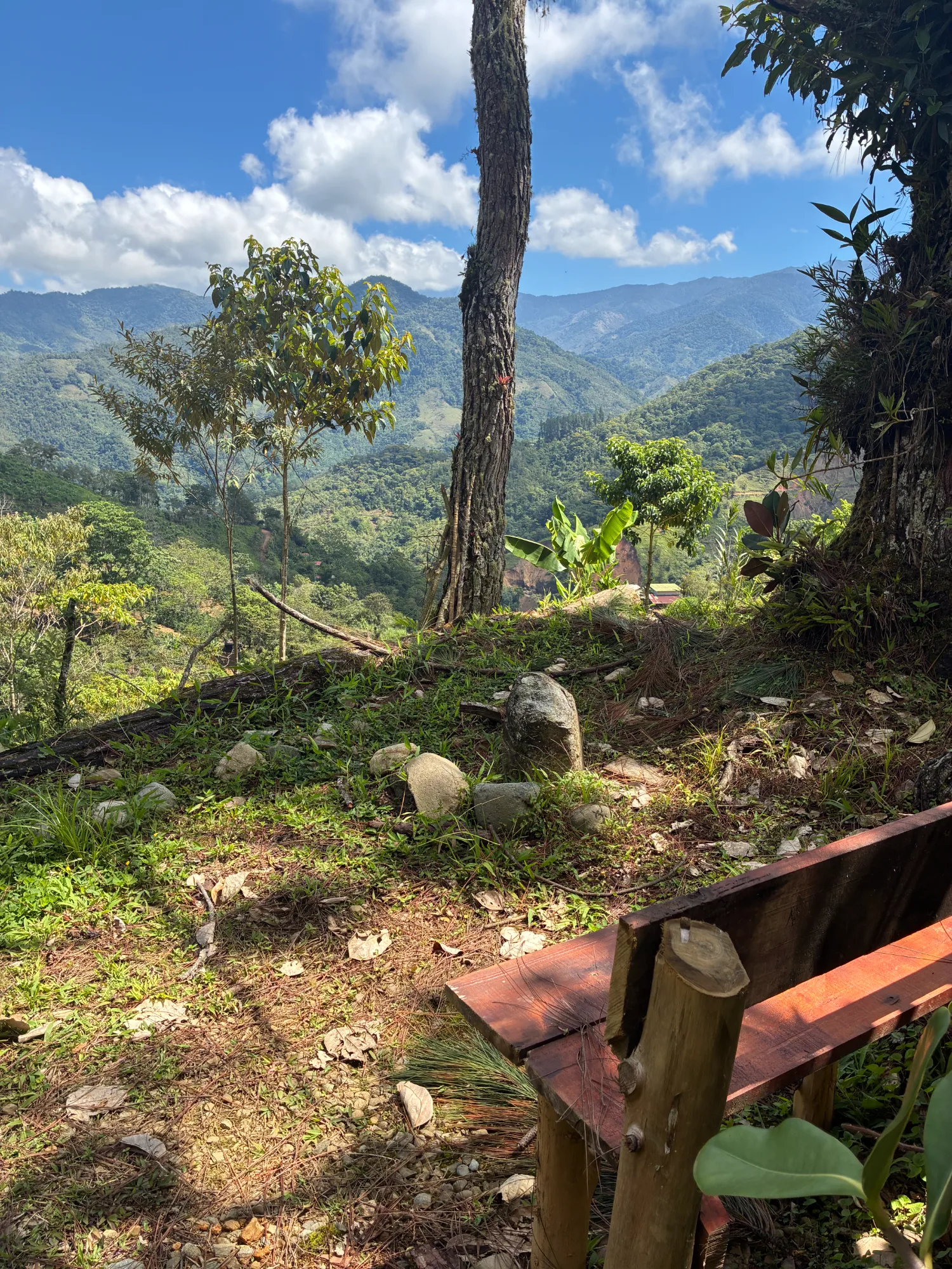 Bench in front of the deck