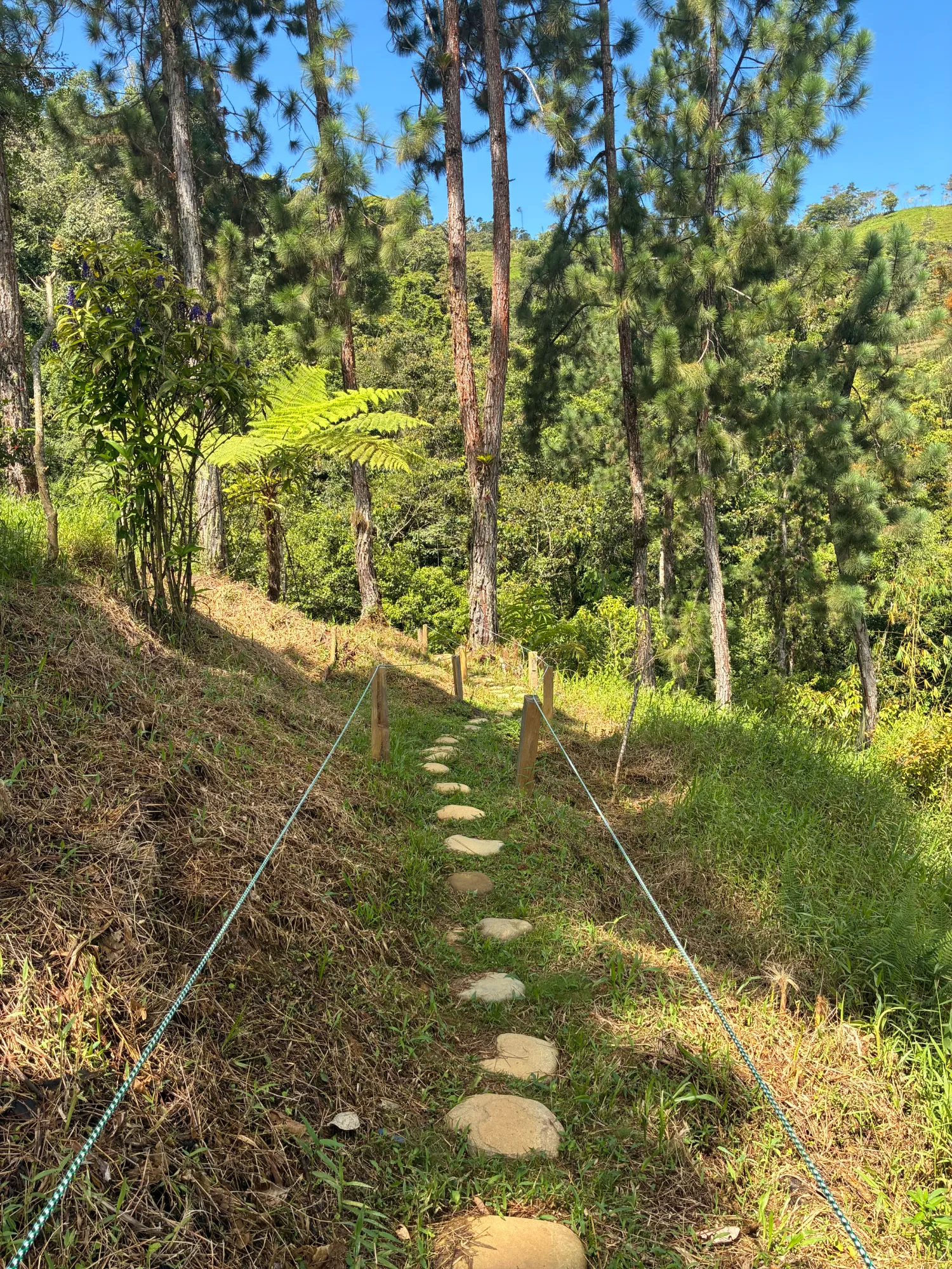 Sendero to Waterfall