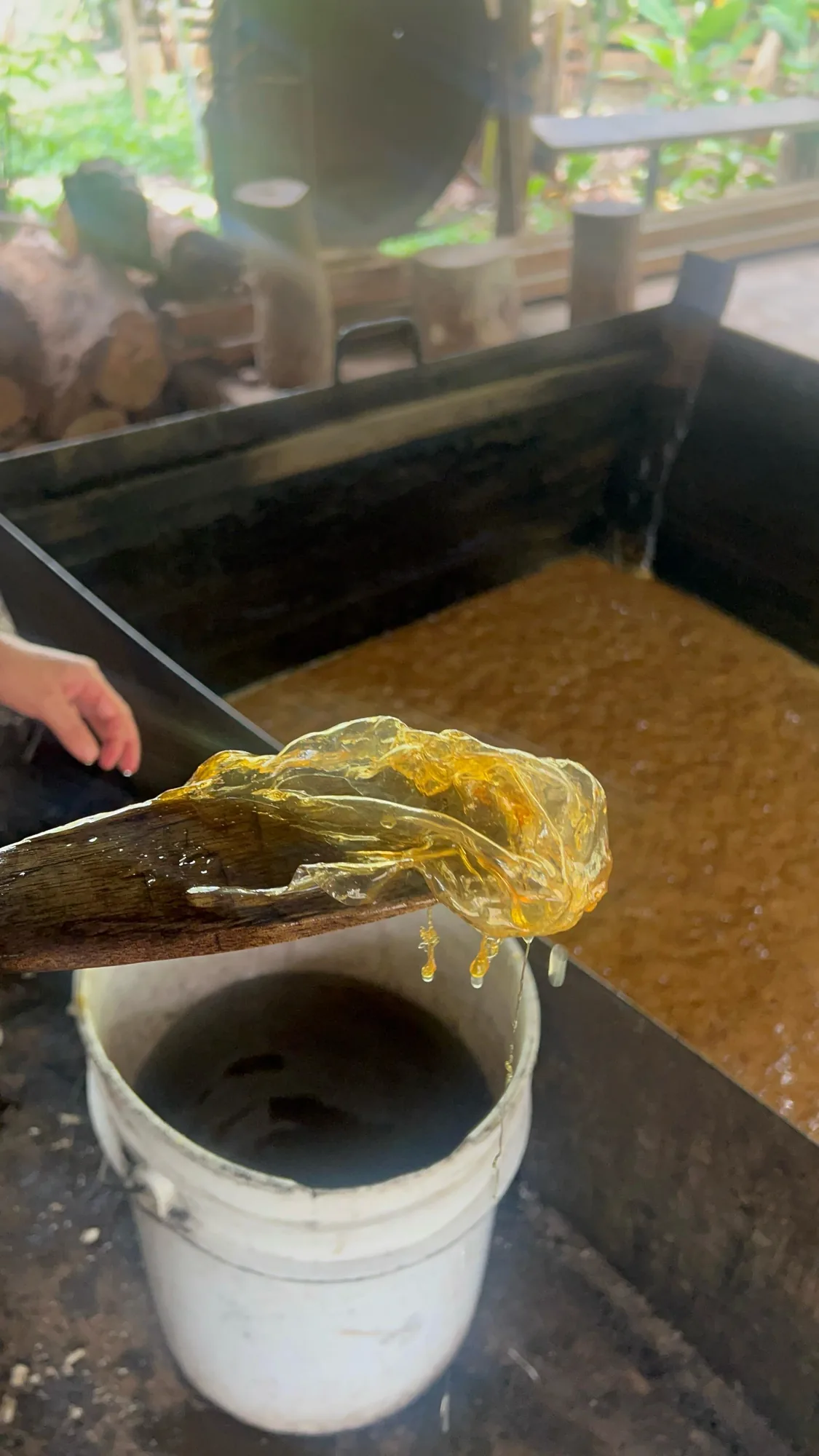 Taffy like as it hardens