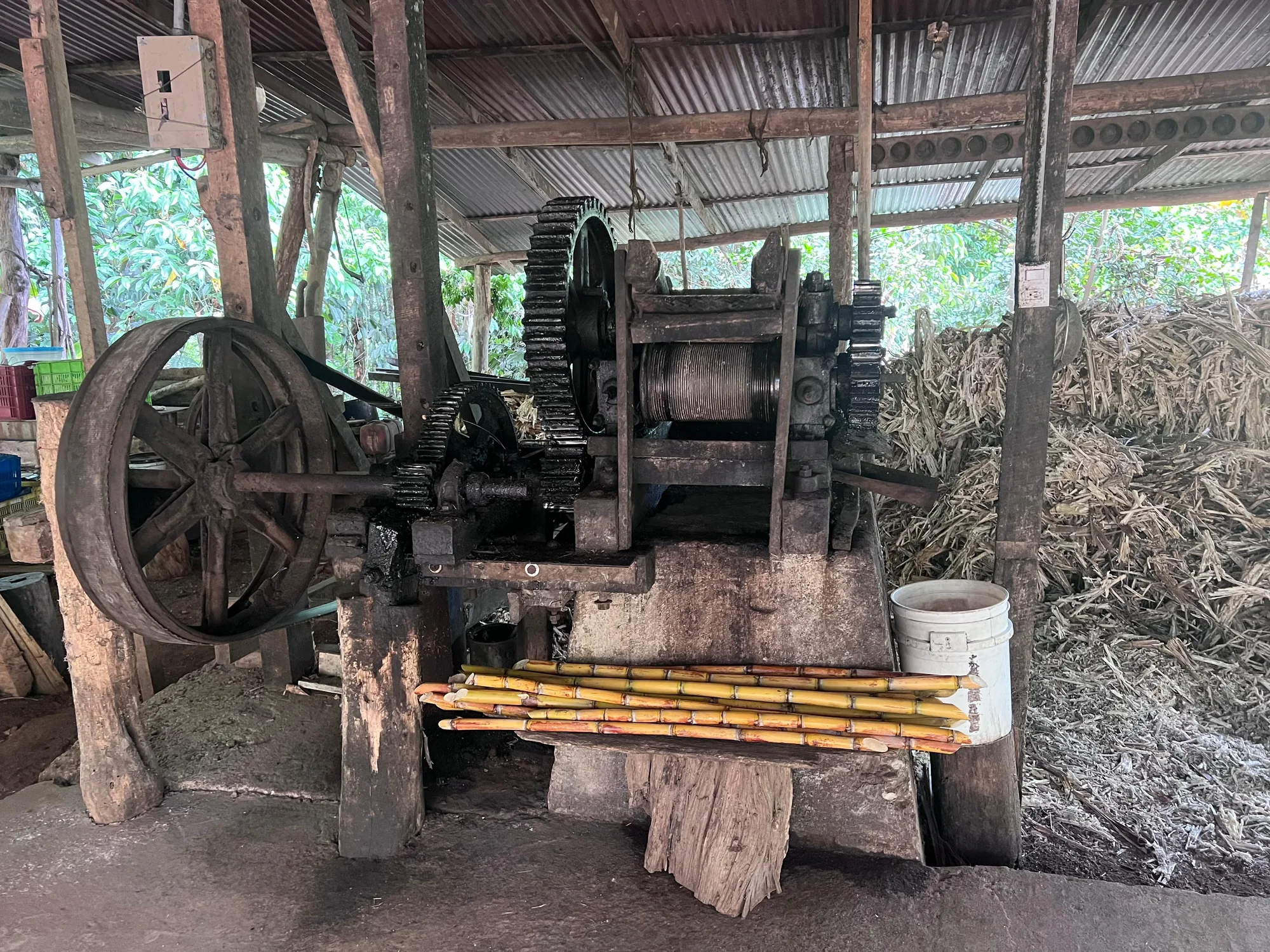 Freshly molded tapa dulce blocks cooling