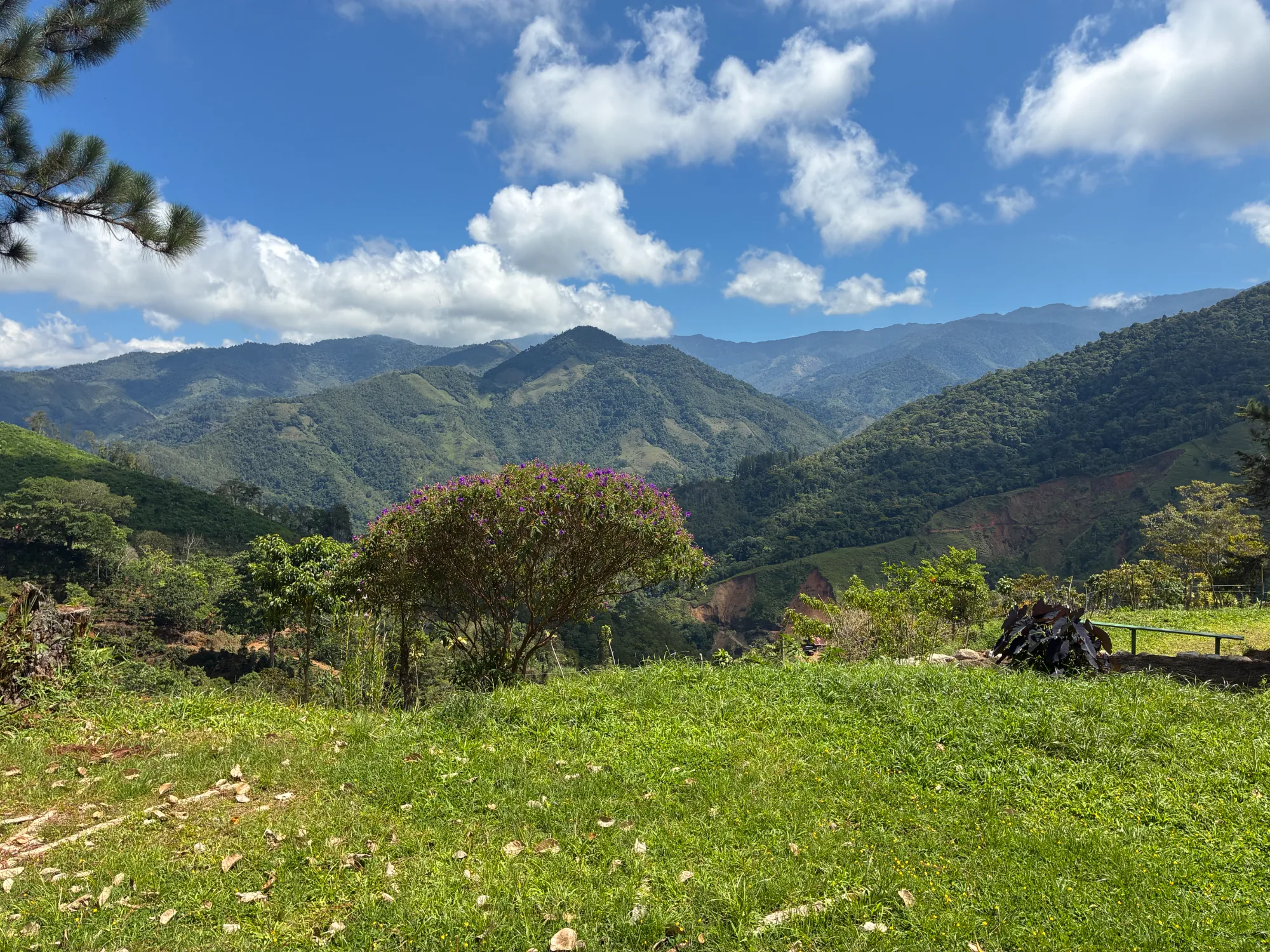 The view from Monterrey