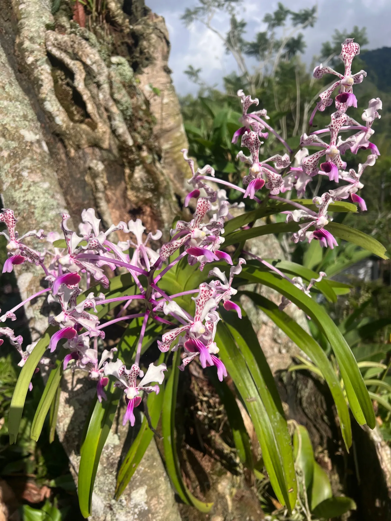 The things you notice