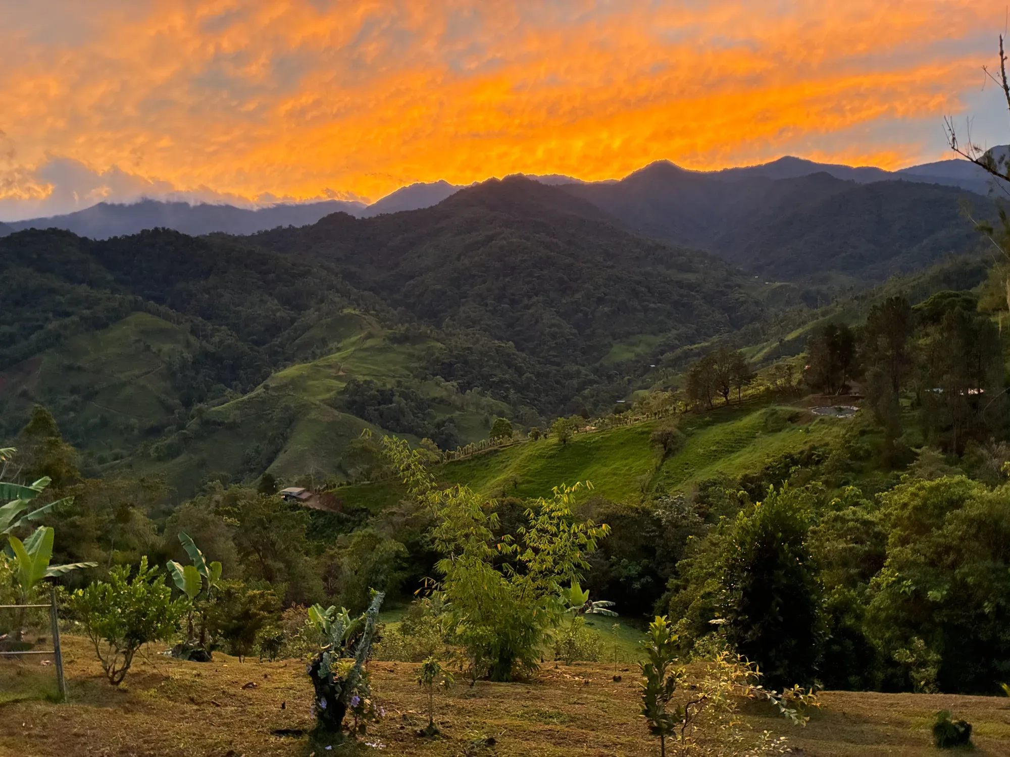 Rested pasture on the mountain