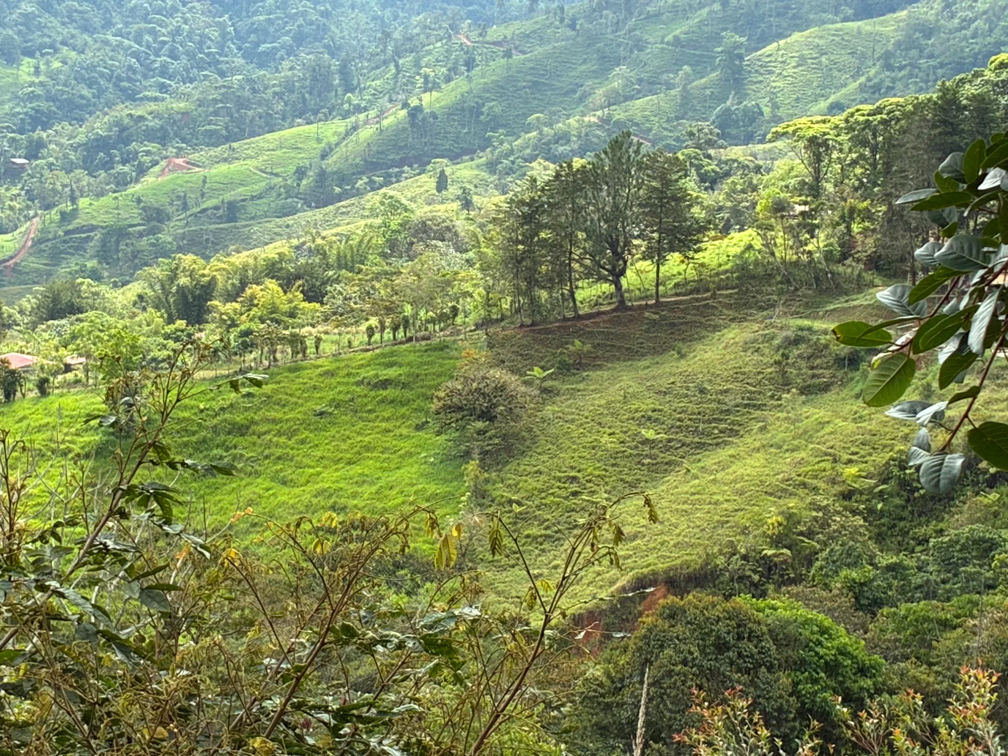 Mountain pasture above the springs